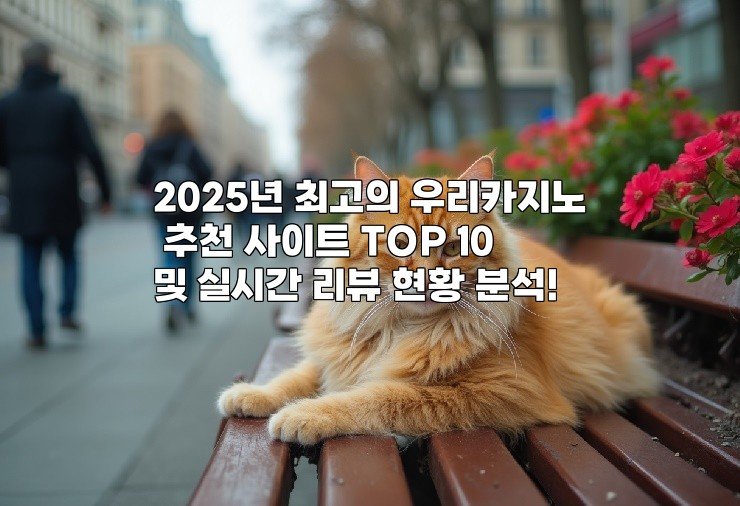 2025년 최고의 우리카지노 추천 사이트 TOP 10 및 실시간 리뷰 현황 분석!
